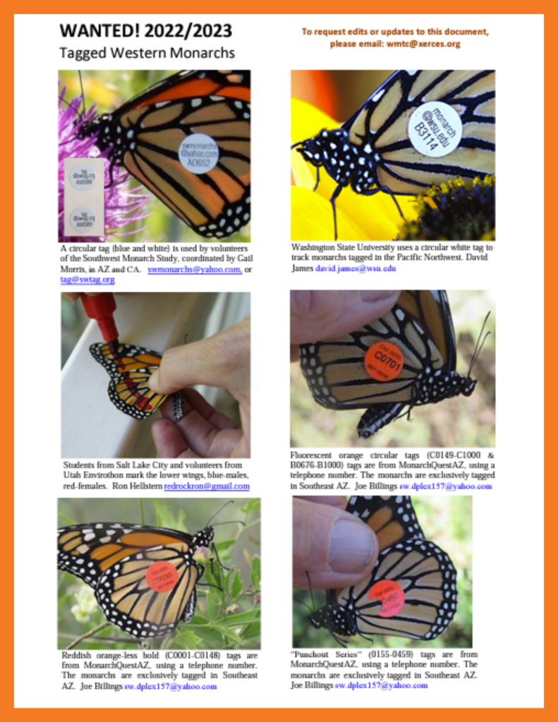 Monarch Tagging Kit